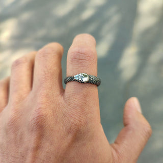 Anillo Uroboro