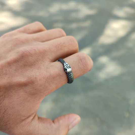 Anillo Uroboro