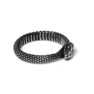Anillo Uroboro