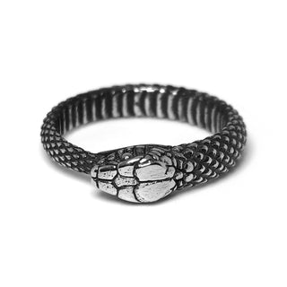 Anillo Uroboro